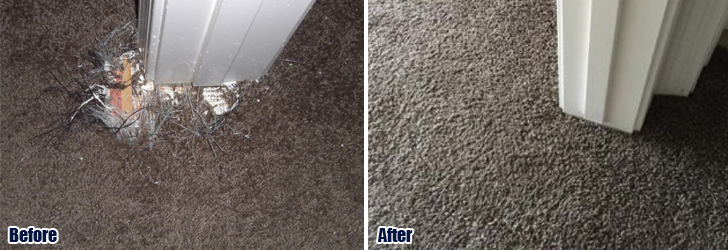 Pet Damaged Carpet Repair Camarillo CA